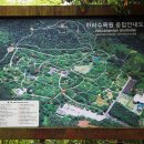 한라수목원 Daum카페