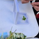 미르스타디움18 이미지