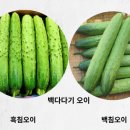 덕분농장 네이버블로그