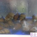 원영수산