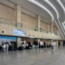 동반자 | 수원 파충류동반자 오픈런 후기