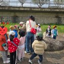 광천초병설유치원 이미지