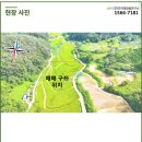 L태양광발전소 이미지