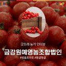 금강원예
