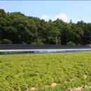 진악산농장 이미지