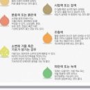 소변색 주황색 갈색 콜라색 노란색 탁함 지방뇨 뿌연색 원인 이미지