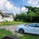 제부 포레스트 이미지