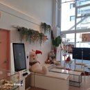 만두한개 커피한잔 | 식사 후 힐링 공간 롤인 분위기 맛집 커피 한 잔 후기