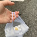 나드리김밥대동