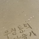 바다마트 이미지