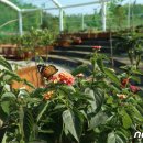 과일나라테마공원3 이미지