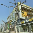 새진한방병원 이미지