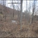 재포주유소 이미지