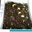 대박4농장 이미지