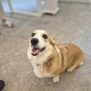 보담동물병원 이미지