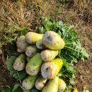 불암농장 이미지