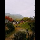 오늘여기펜션 이미지