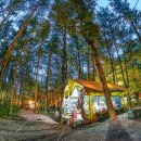 동해에서 이미지