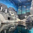 한화농원 이미지