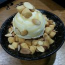 콩꼬물