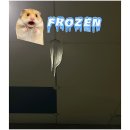 치치까까 | 벌써 한 살 하고도 한 달을 먹었어요.