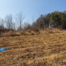 법전면사무소 이미지