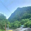 단양남천계곡물가 이미지