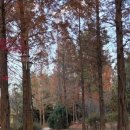 신연수역 이미지