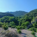 함안 방어산 마애약사여래삼존입상 | 방어산(530m)~마애약사여래삼존입상(보물)