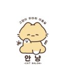 고양이 미용실 안냥 이미지