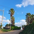 제주조이랜드 이미지