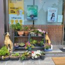 현대동물병원 이미지