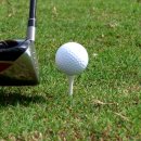 베어크리크골프클럽 | 베어크리크 골프클럽 예약하기 방법 사이트 맛집 위치 가