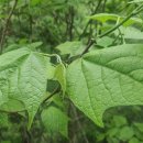 서들농장 이미지