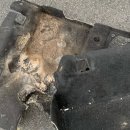 쥐씨클리닝 이미지