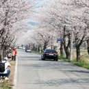 보령-주산-1 이미지