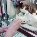 유앤동물의료센터 이미지