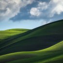 자연의 꿈 이미지