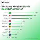 web search 웹검색, Daum Naver Nate; 다음은 왜 바닥을 기는가? 이미지