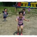 죠이랜드 이미지