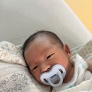 우리손자 시안이+28 이미지