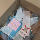 블루바이오 | 러프웨어 쿨링 하네스 2025 SS 바이오루민 블루 구매후기