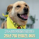 따스한 동물병원 이미지