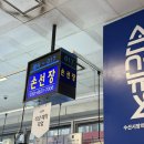 숙성시장길 | 서울 노량진수산시장 손선장 숙성회, 수산회관 초장집 내돈내산 후기