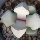 춘열농장 이미지