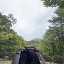 국민여가캠핑장 | 인제 캠핑장 추천 진동리국민여가캠핑장 후기