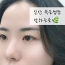 눈이부심 | 일산 속눈썹펌, 블랙틴팅 받고 또렷해진 눈썹부심X깔꼼왁싱 후기