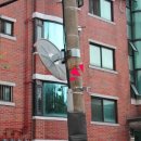 도성약국 이미지