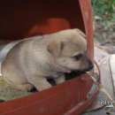 진만농장 이미지