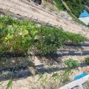 서대리농장 이미지